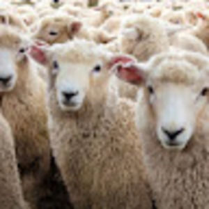 Meet your Posher, Jack